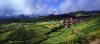 Village vignobles - Alsace