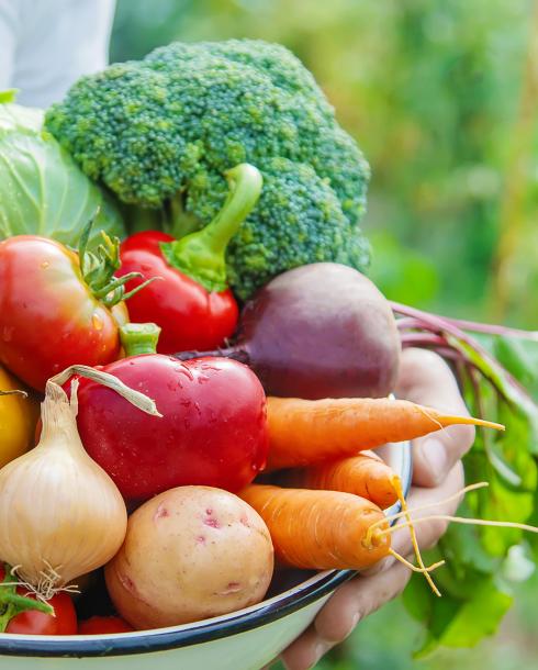 Légumes marais côte d'Opale